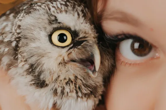 벳잇올 카지노 지원